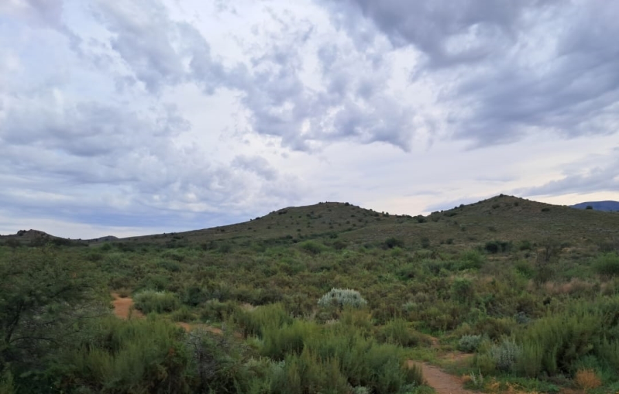 0 Bedroom Property for Sale in Willowmore Eastern Cape